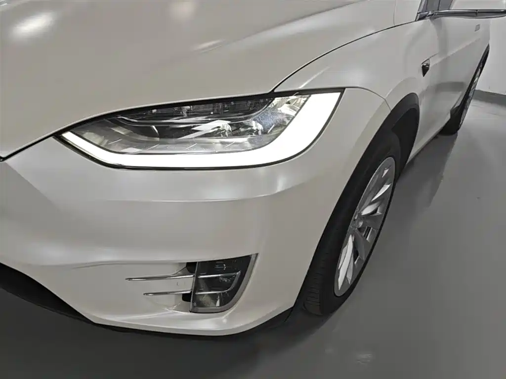 Tesla Model X 2019 — фото 24