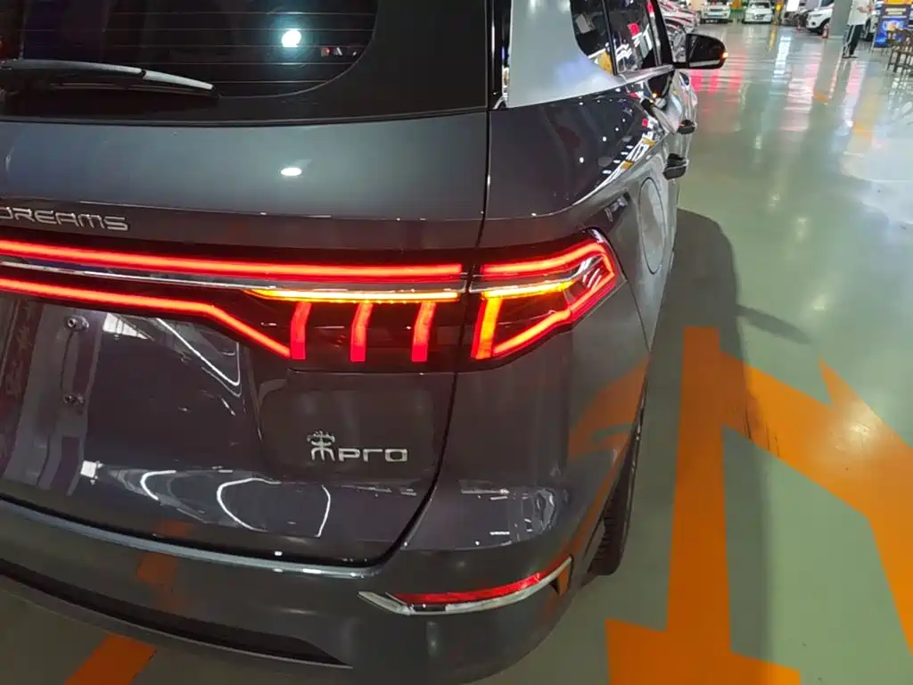BYD Pro New Energy 2020 — фото 8