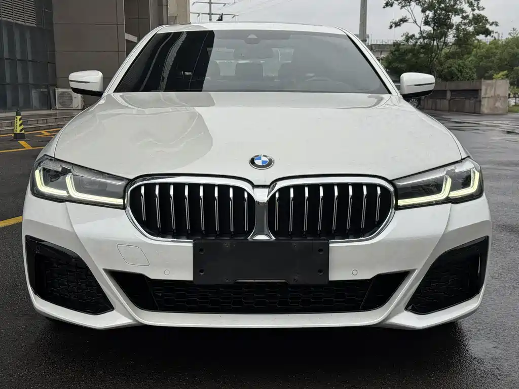 BMW 5 Series 2021