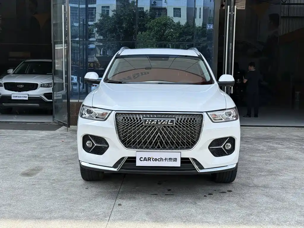 Haval H6 2020 — фото 13