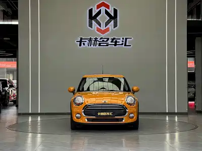 MINI MINI 2015