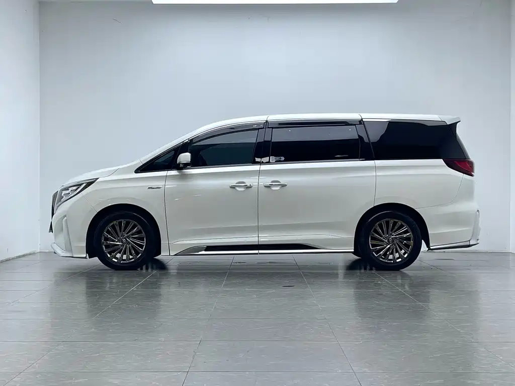 GAC Motor Trumpchi M8 2021 — фото 9