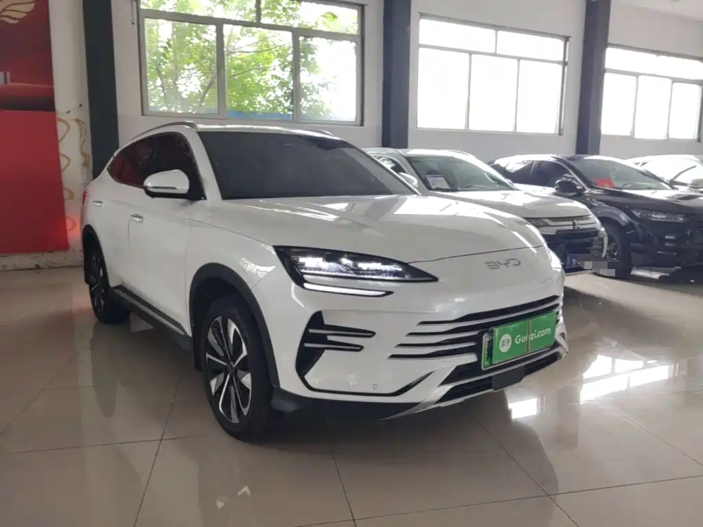 BYD PLUS New Energy 2025 — фото 4