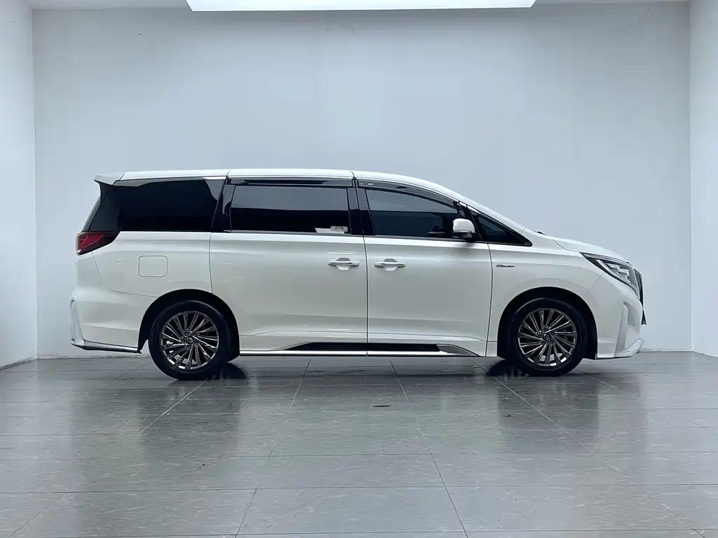 GAC Motor Trumpchi M8 2021 — фото 8