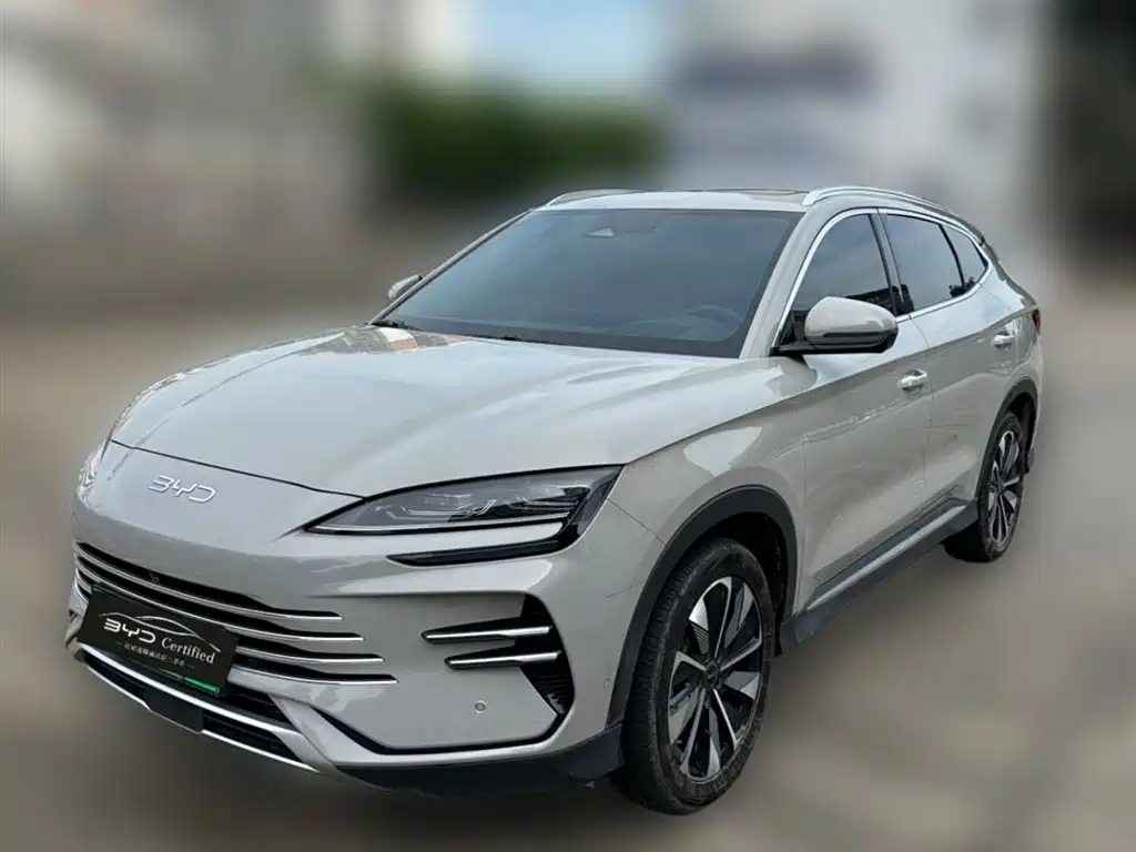 BYD PLUS New Energy 2024