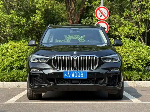 BMW X5 2021