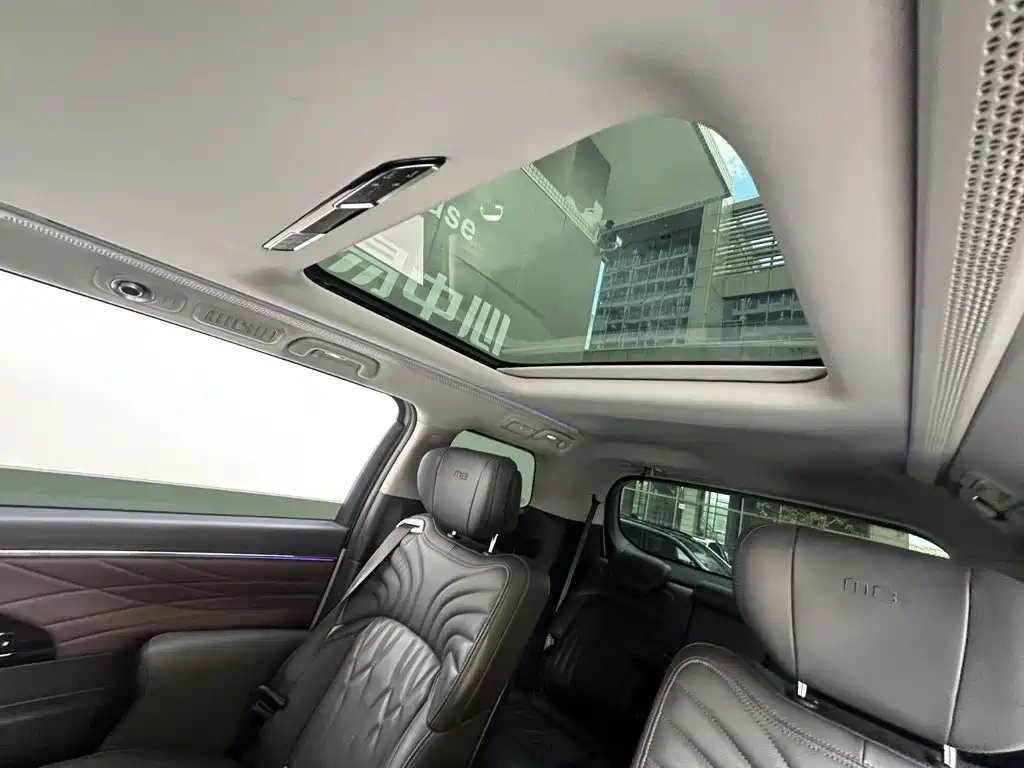 GAC Trumpchi E9 2024 — фото 14