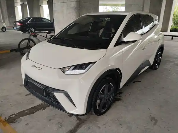 BYD Seagull 2024