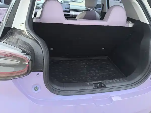 Dongfeng Nano 01 2024