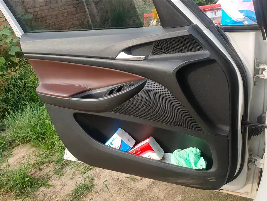 Buick GL6 2018