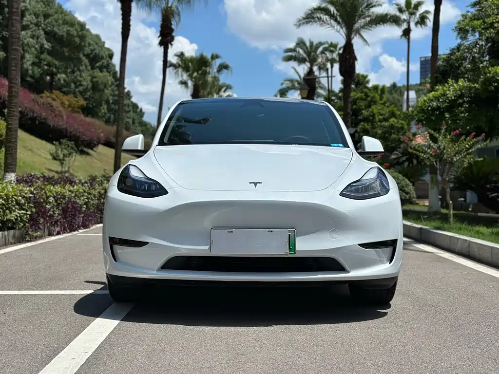 Tesla Model Y 2024 — фото 2