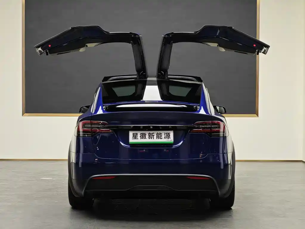 Tesla Model X 2023 — фото 19