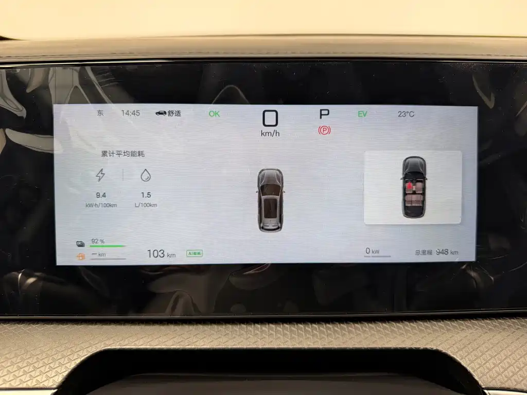 BYD Pro New Energy 2025 — фото 14