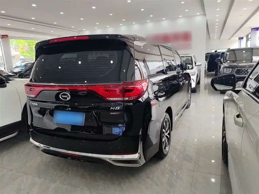 GAC Motor Trumpchi M8 2025 — фото 8