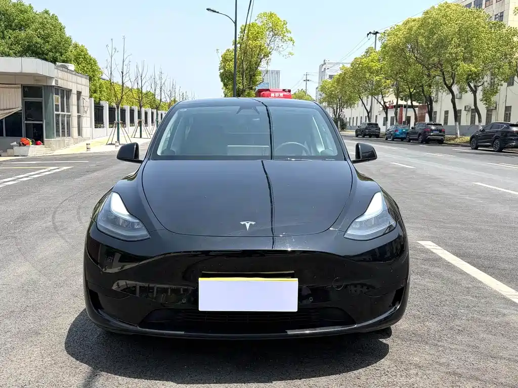 Tesla Model Y 2023 — фото 2