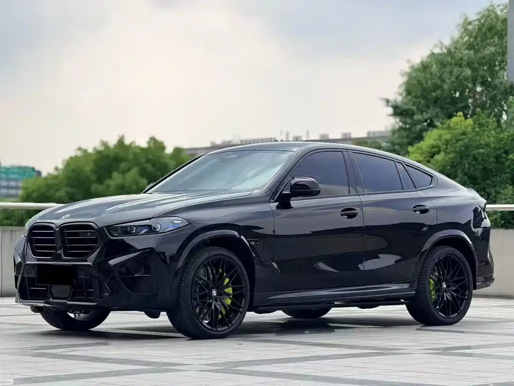 BMW X6 2023 — фото 1