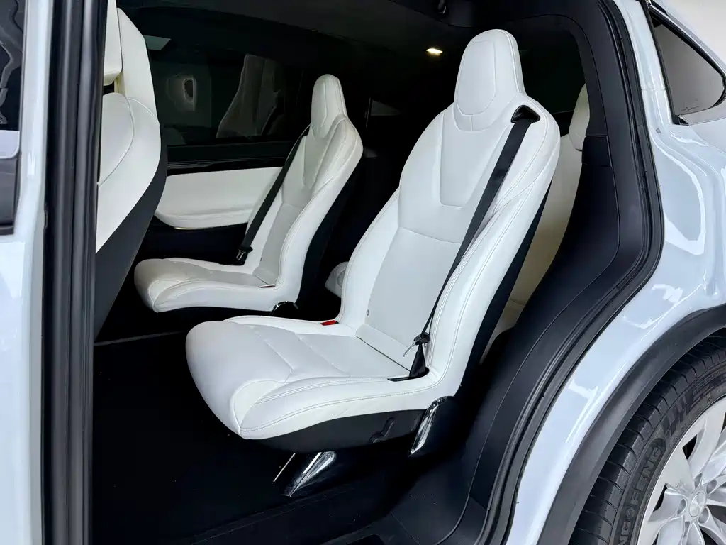 Tesla Model X 2019 — фото 6