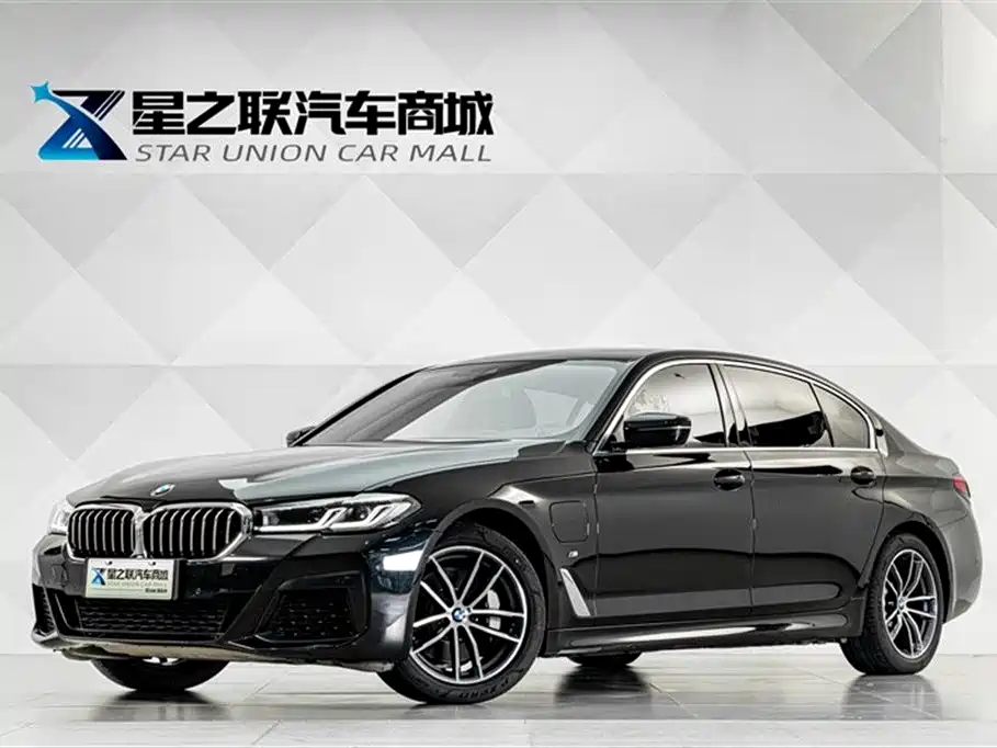 BMW 5 Series New Energy 2021