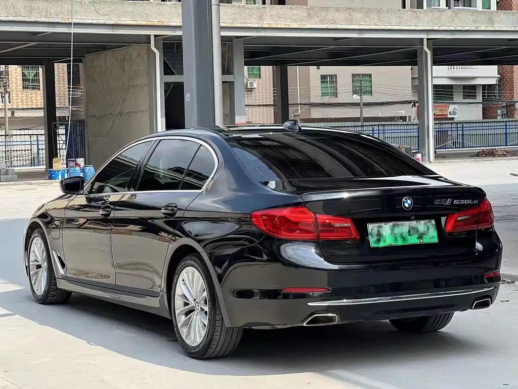 BMW 5 Series New Energy 2020