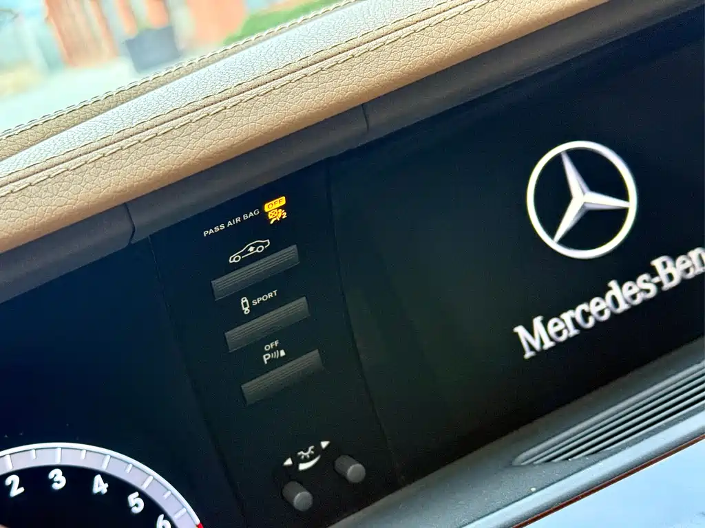Mercedes-Benz S-Class 2010 — фото 16