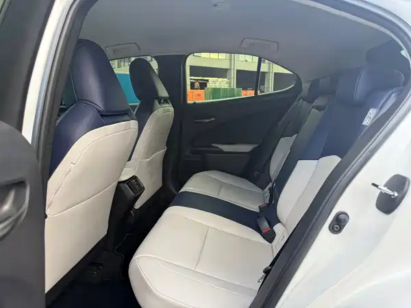 Lexus UX 2020