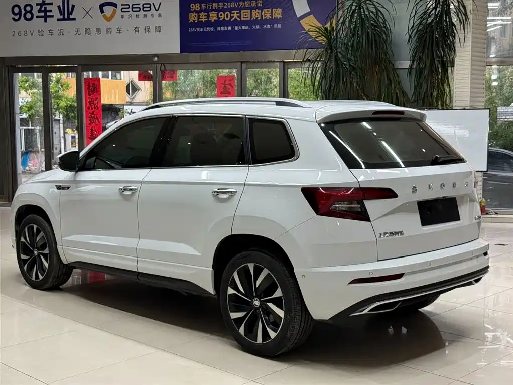 Skoda Karoq 2023 — фото 6