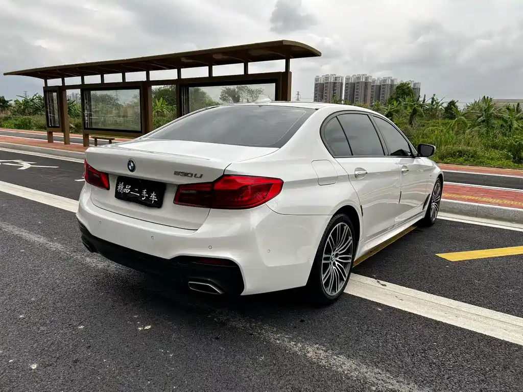 BMW 5 Series 2017 — фото 9