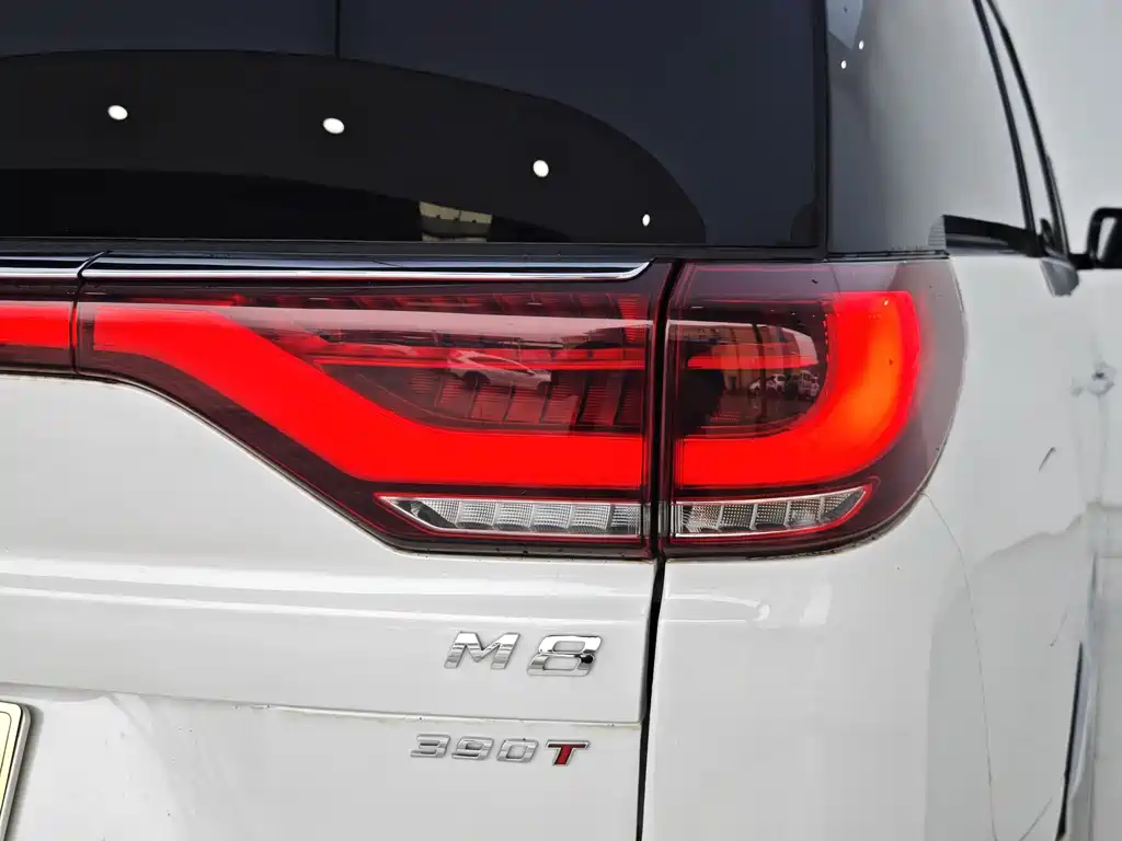 GAC Motor Trumpchi M8 2022 — фото 26