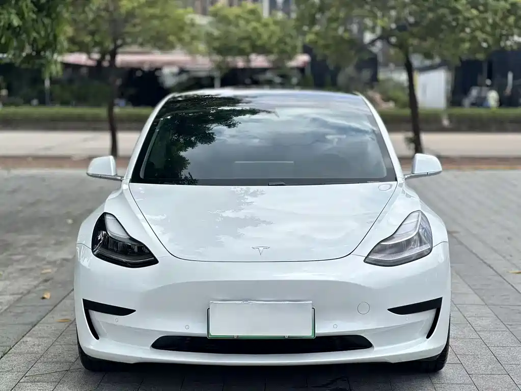 Tesla Model 3 2020 — фото 2