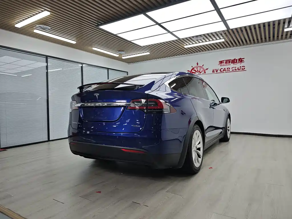 Tesla Model X 2017 — фото 5