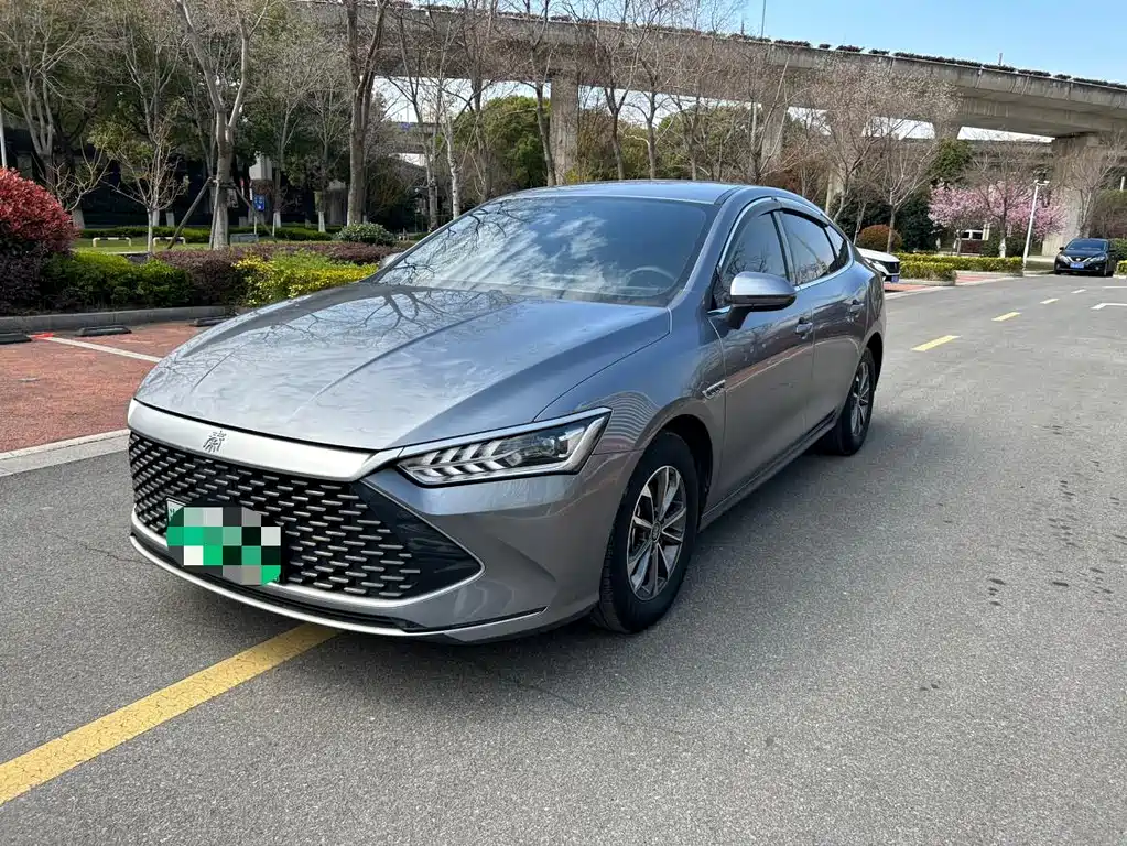 BYD Qin PLUS 2024 — фото 1