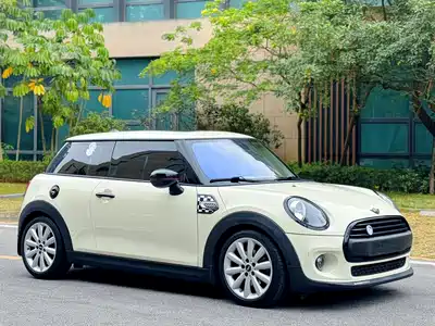 MINI MINI 2020