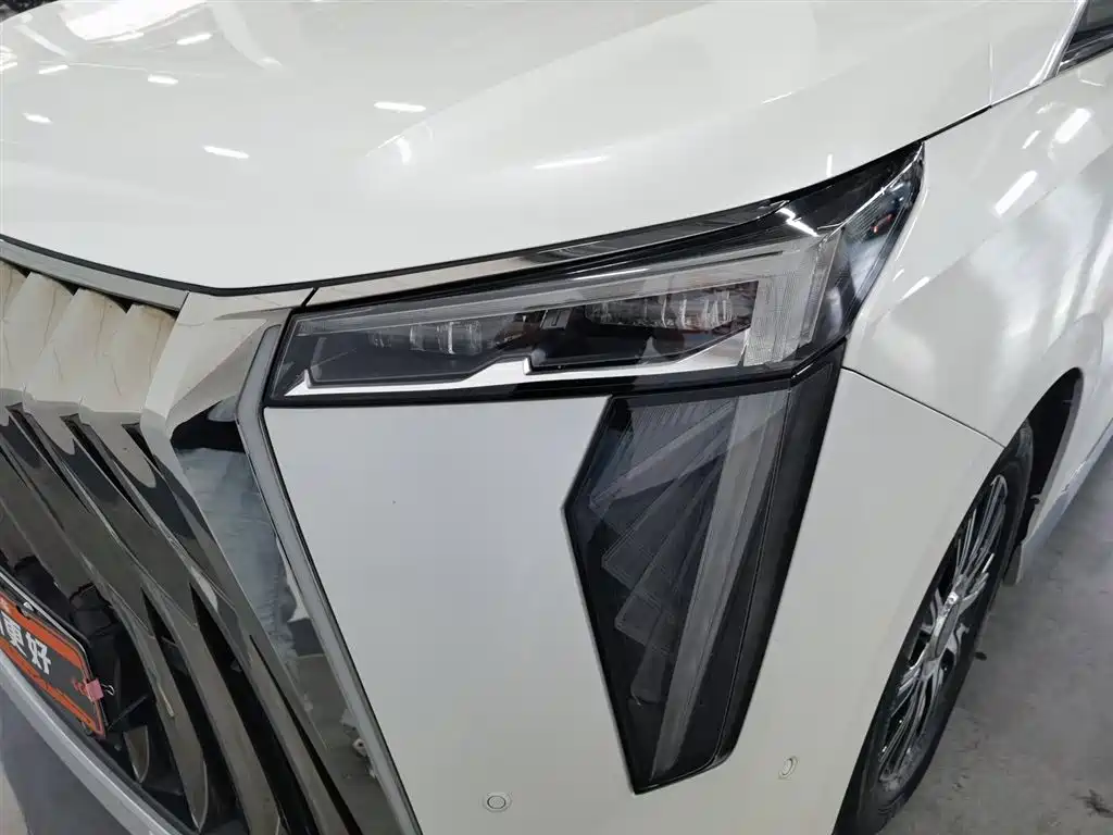 GAC Motor Trumpchi E9 2023 — фото 7