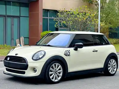 MINI MINI 2020