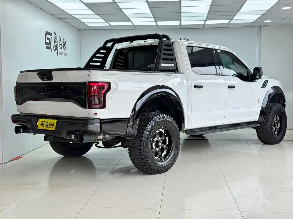 Ford F-150 Raptor 2017 — фото 25