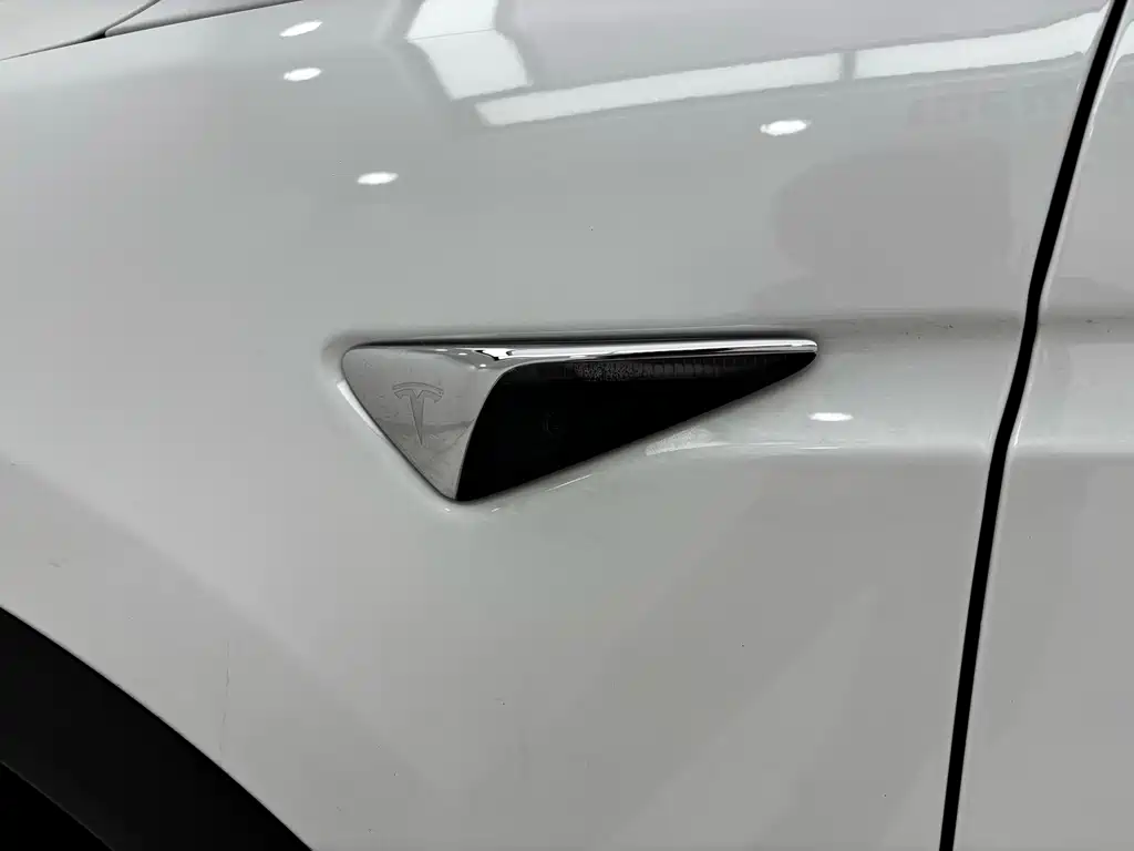 Tesla Model X 2020 — фото 11