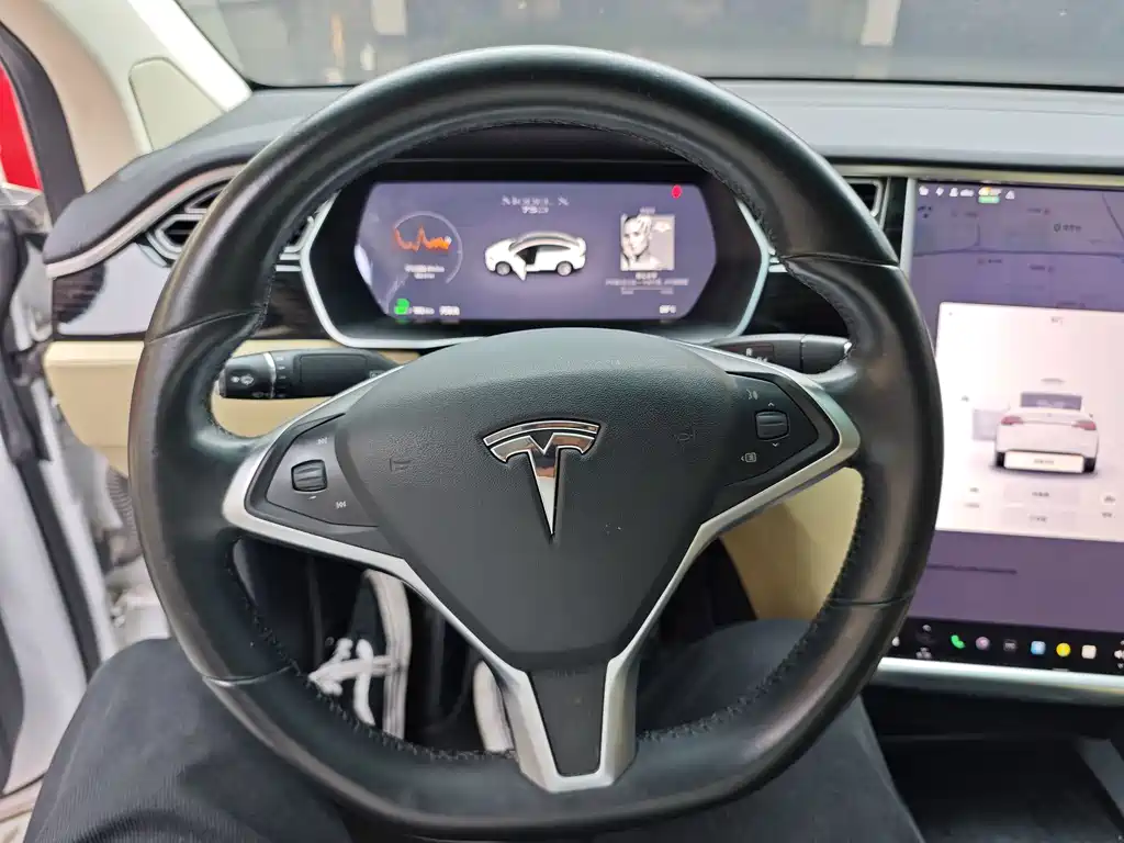 Tesla Model X 2017 — фото 9