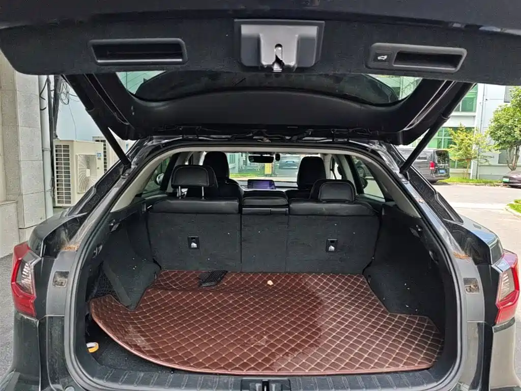 Lexus RX 2017 — фото 19