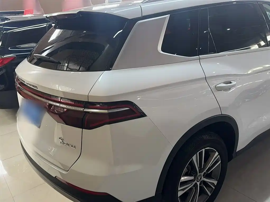 BYD Pro 2020 — фото 11