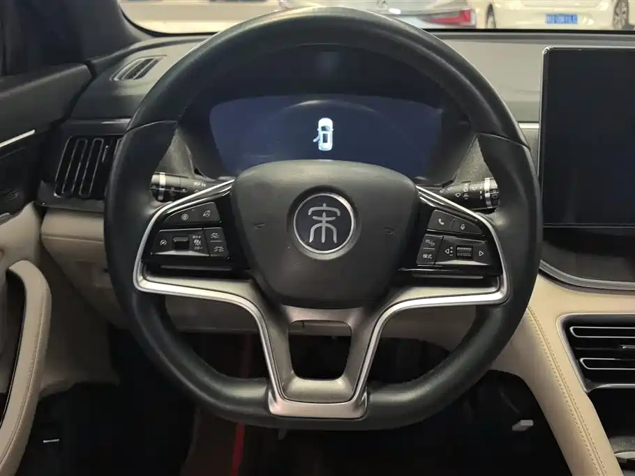 BYD PLUS New Energy 2023 — фото 15