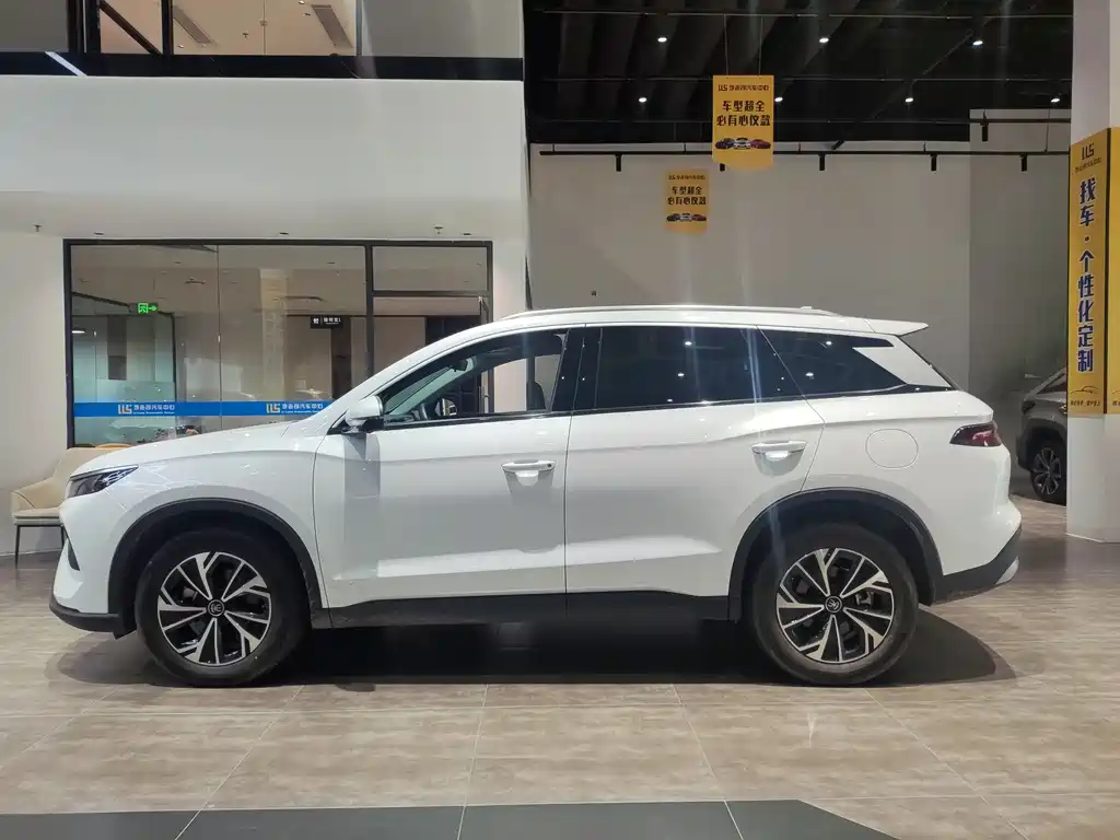 BYD Pro New Energy 2025 — фото 2