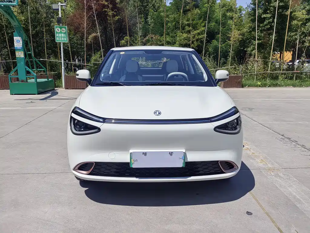 Dongfeng Nano 01 2026
