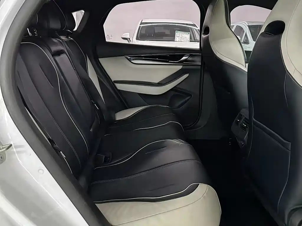 BYD Qin PLUS 2022 — фото 21