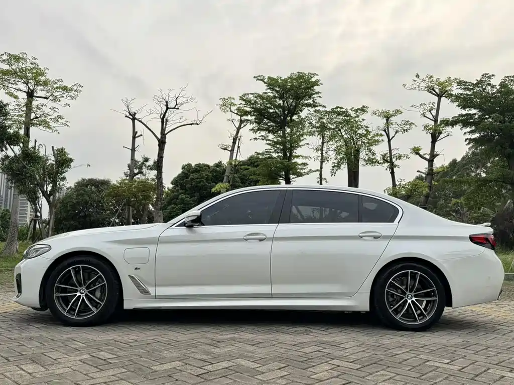 BMW 5 Series New Energy 2021