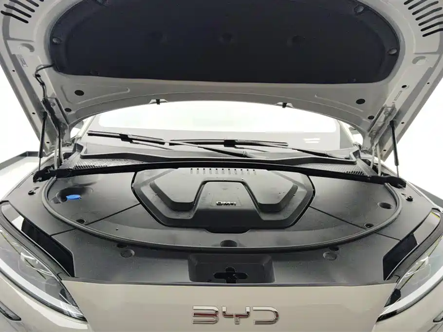 BYD PLUS New Energy 2025 — фото 10