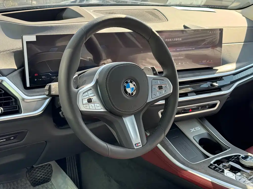 BMW X5 — фото 12