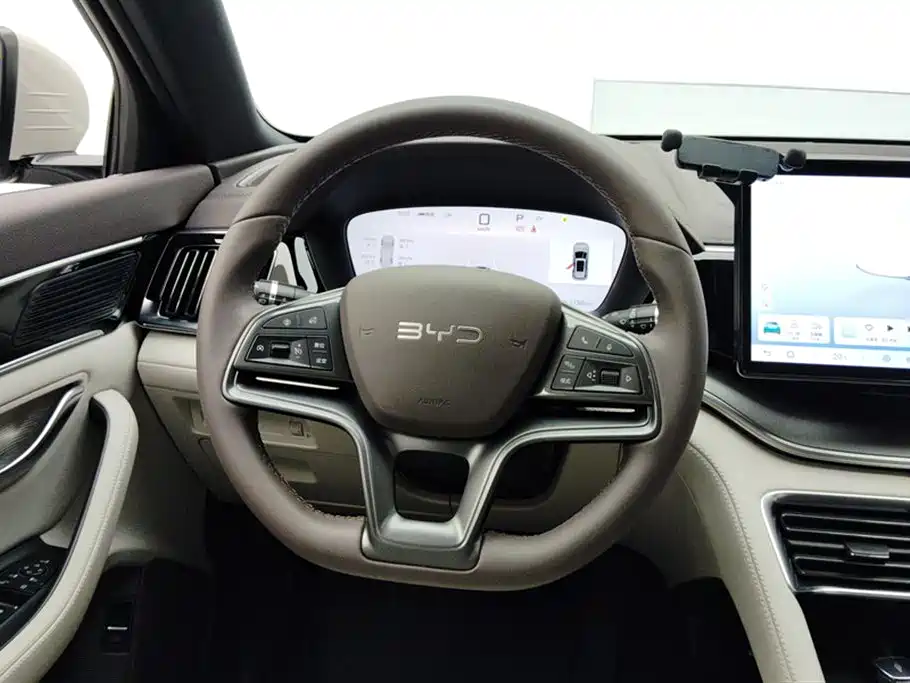 BYD PLUS New Energy 2025 — фото 15