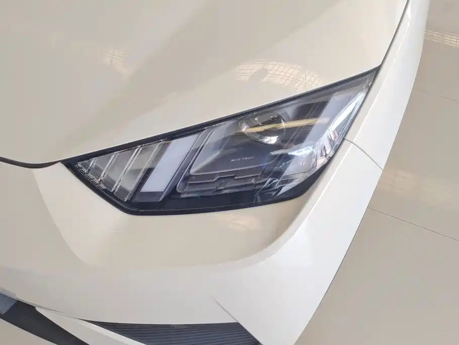 BYD Seagull 2026