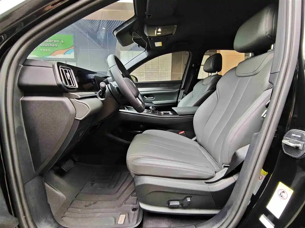 BYD Song Pro New Energy 2025 — фото 6