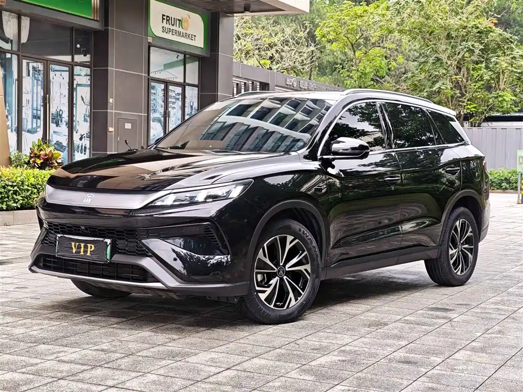 BYD Song Pro New Energy 2025 — фото 1
